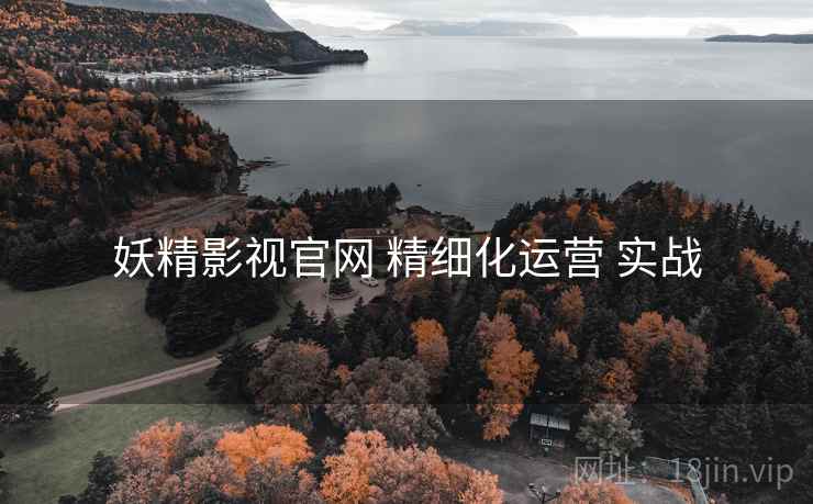 妖精影视官网 精细化运营 实战