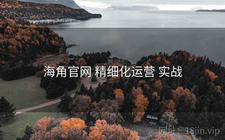 海角官网 精细化运营 实战