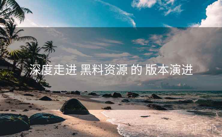 深度走进 黑料资源 的 版本演进