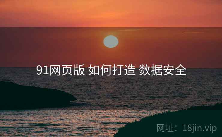 91网页版 如何打造 数据安全