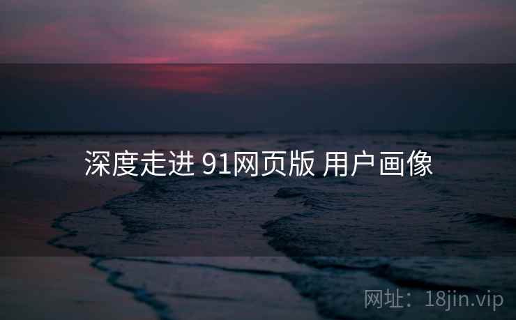 深度走进 91网页版 用户画像