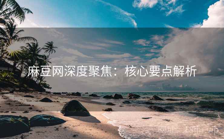 麻豆网深度聚焦：核心要点解析